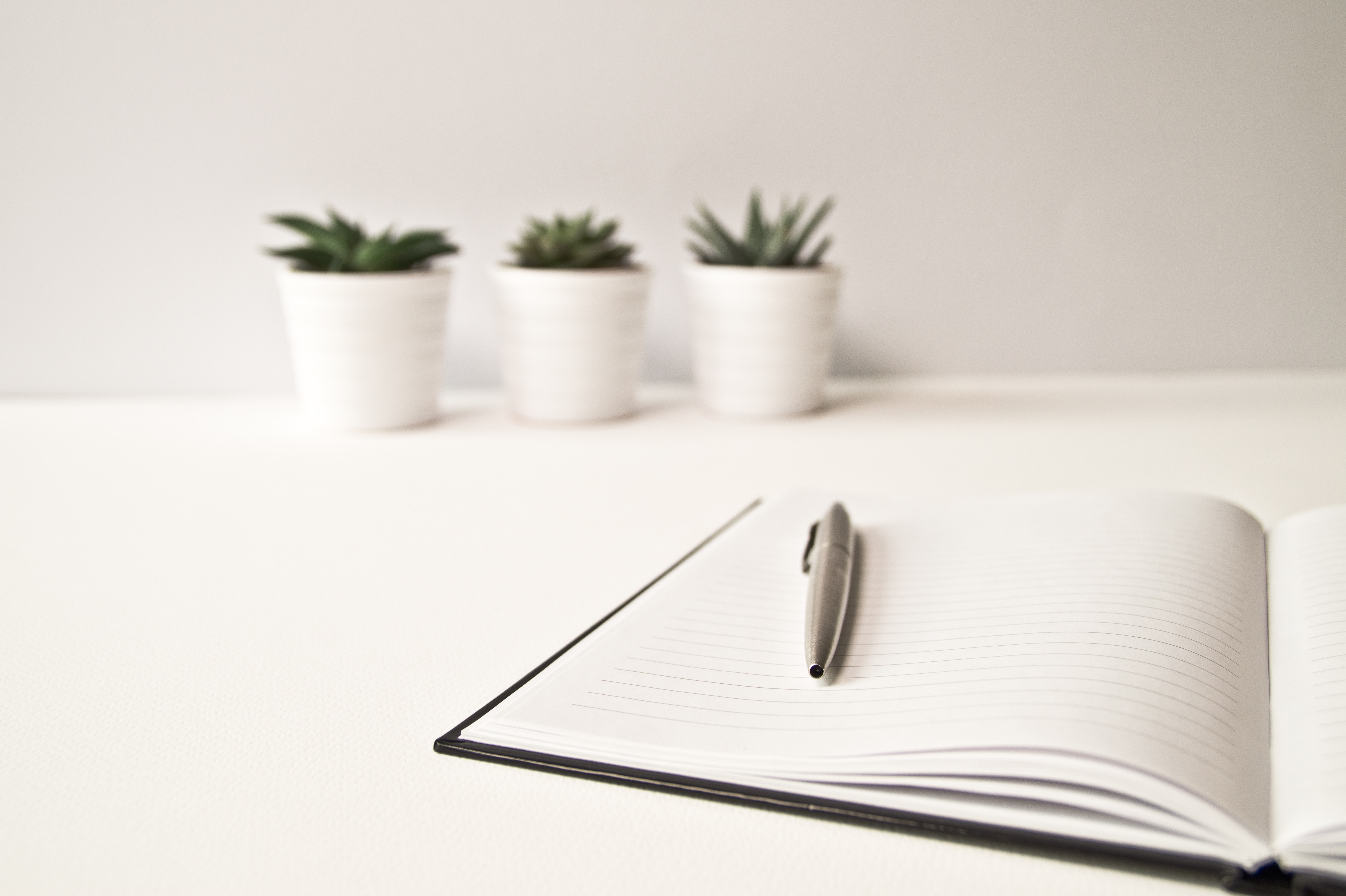 Desk with a cactus and pen and notebook